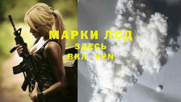 гидра Алексин